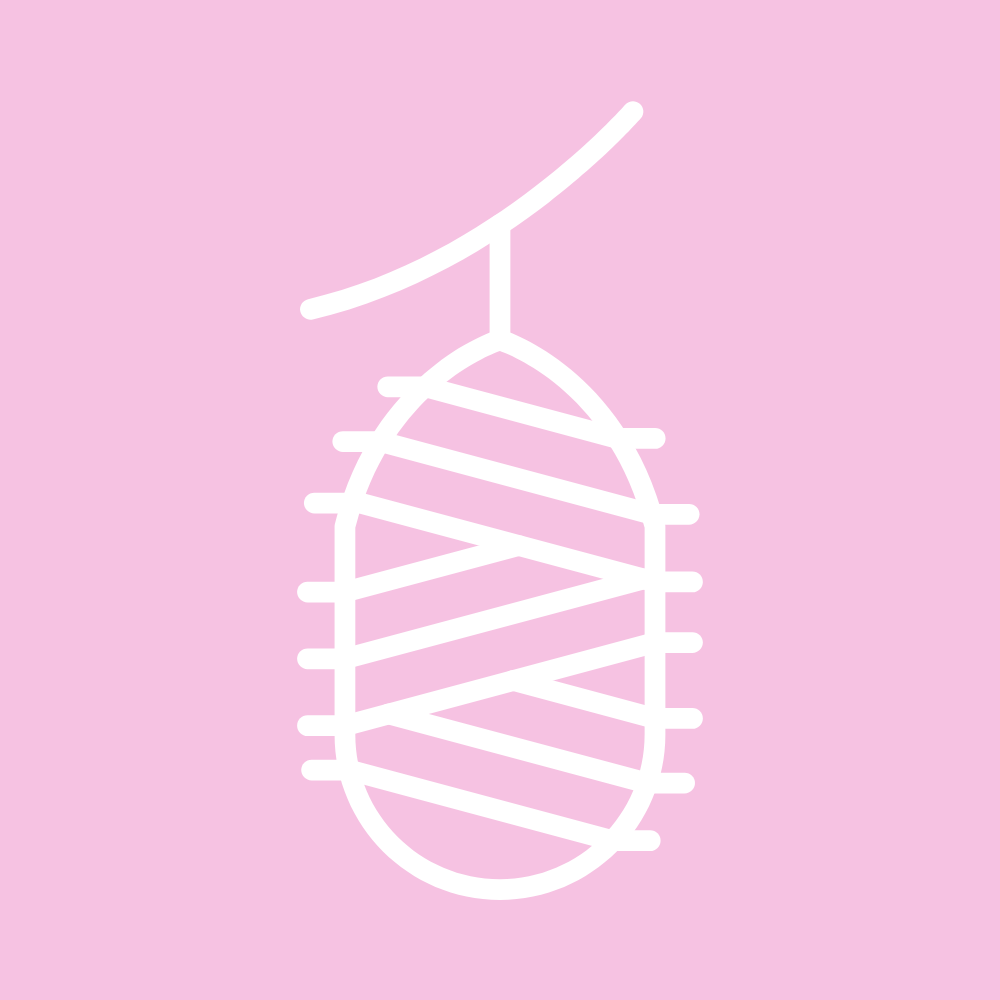Jedwab, czyli symbol luksusu i elegancji